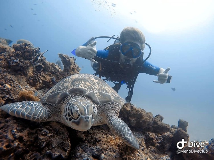 scuba_diving_turtle_city_fun_diver